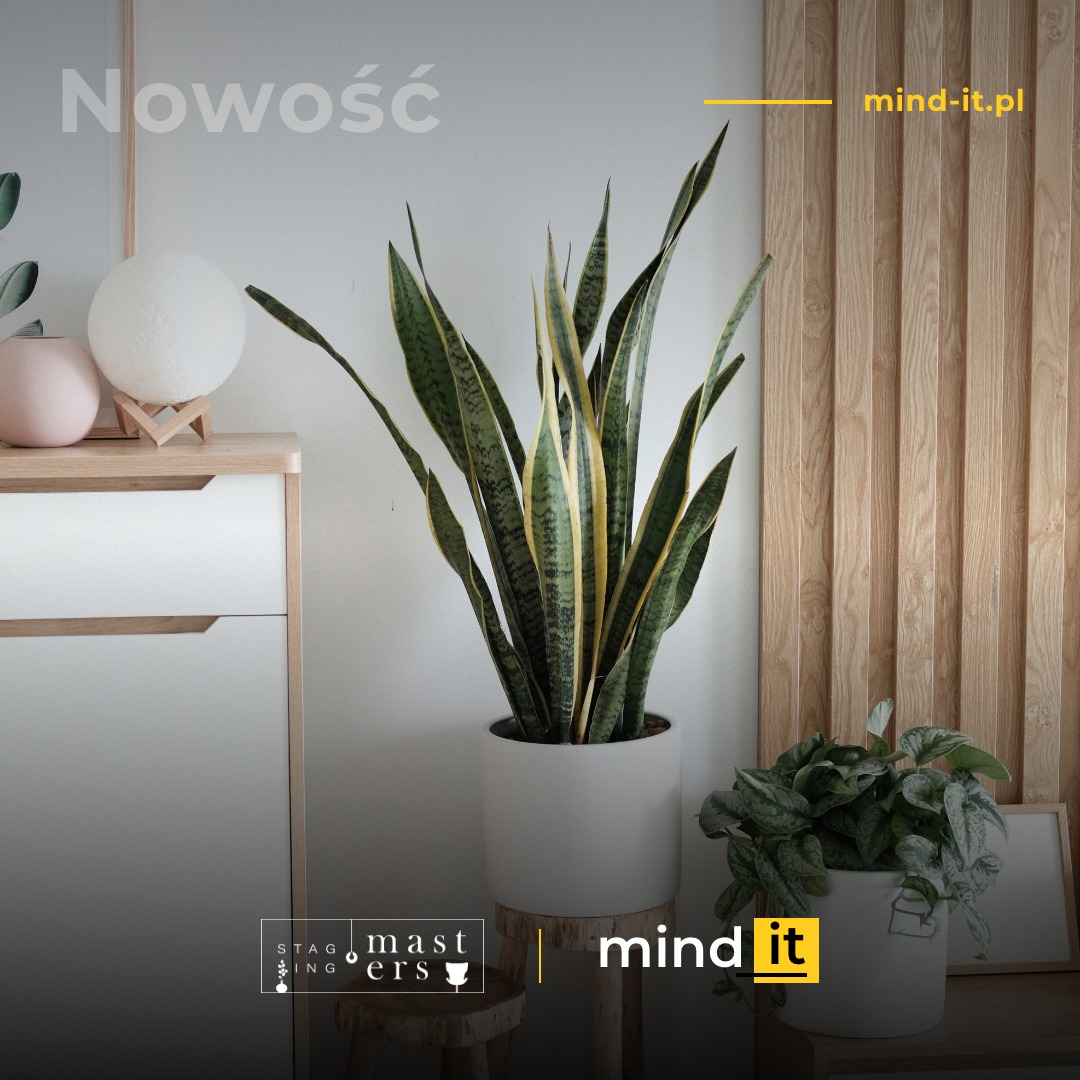 Staging Masters strona