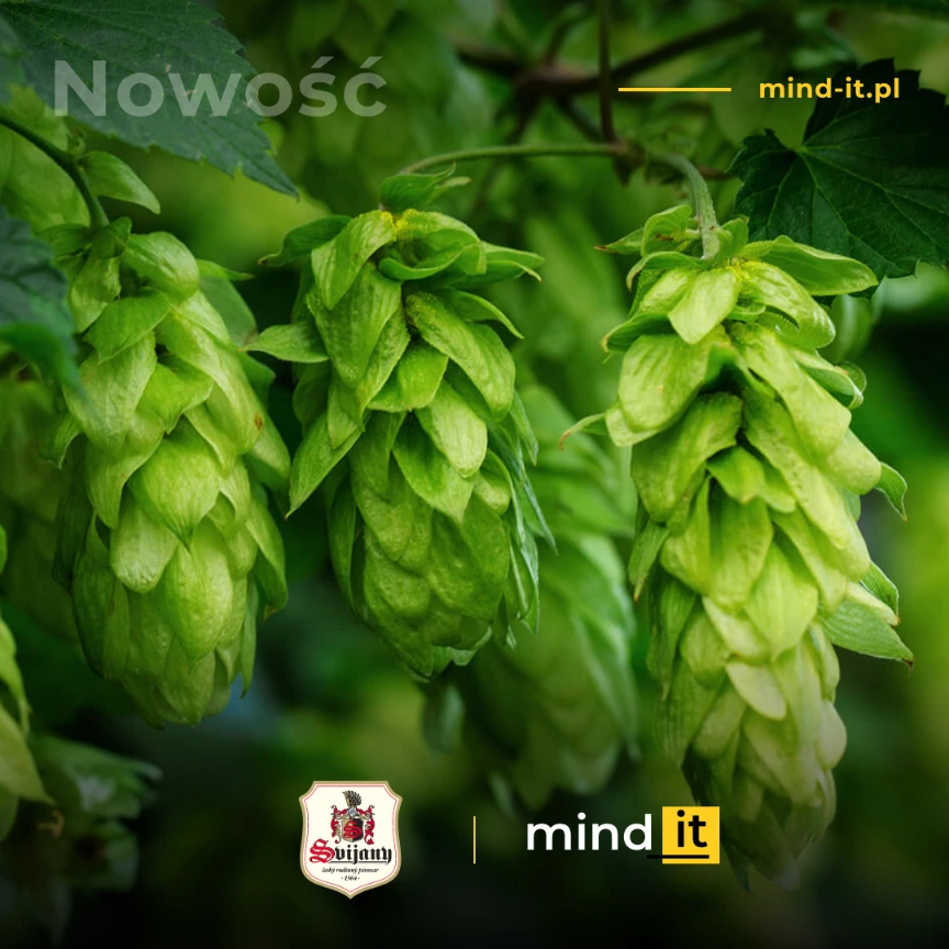 Svijany Polska współpraca