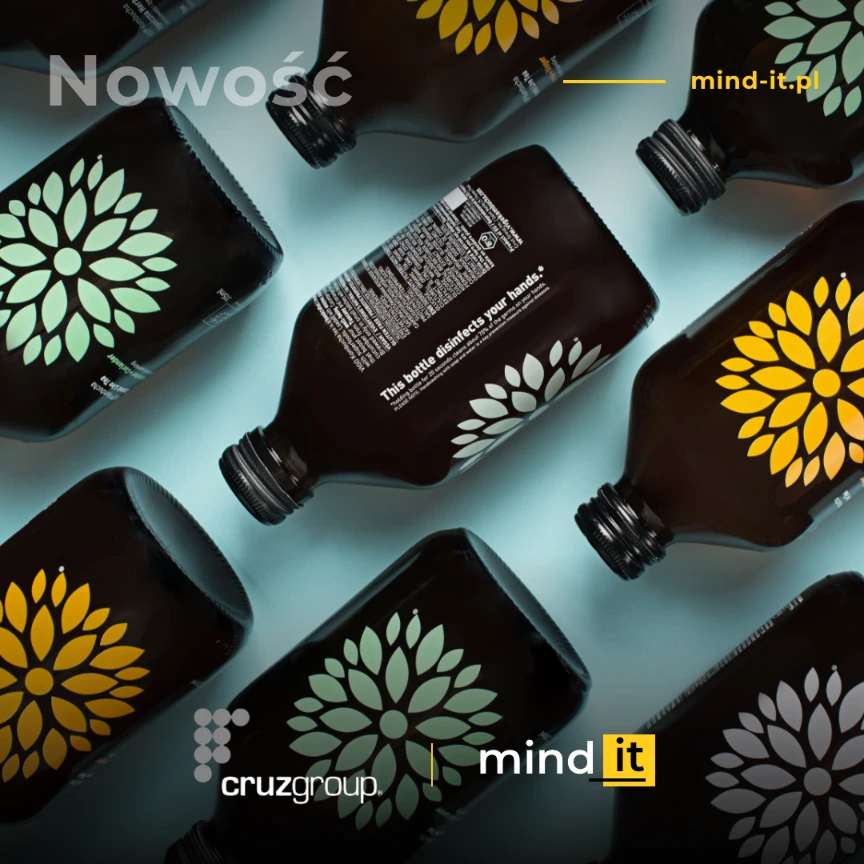 Realizacja - strona internetowa - Mind-it