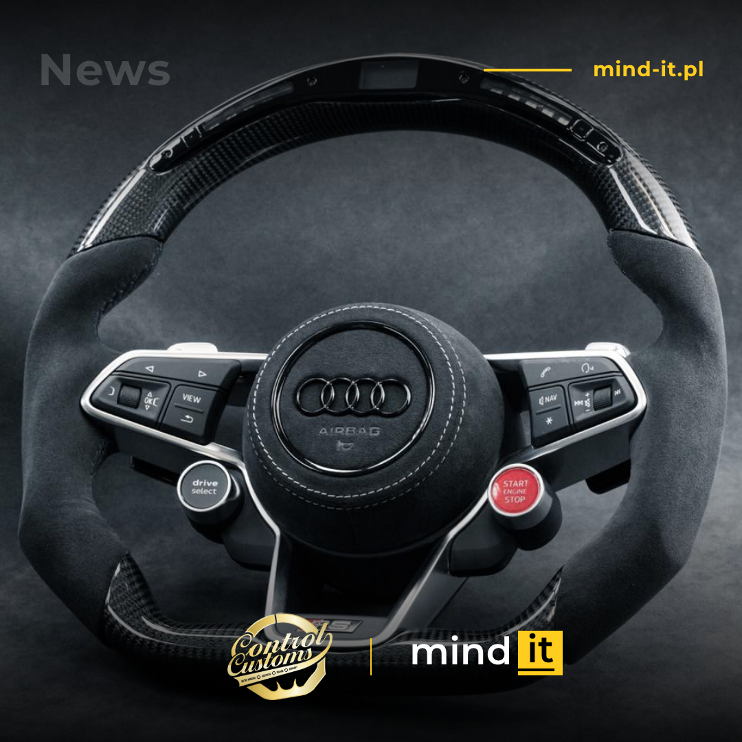 Control Customs strona www